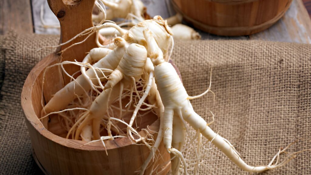 GINSENG: Propiedades, BENEFICIOS y CONTRAINDICACIONES Clave 2 ginseng propiedades beneficios y contraindicaciones clave