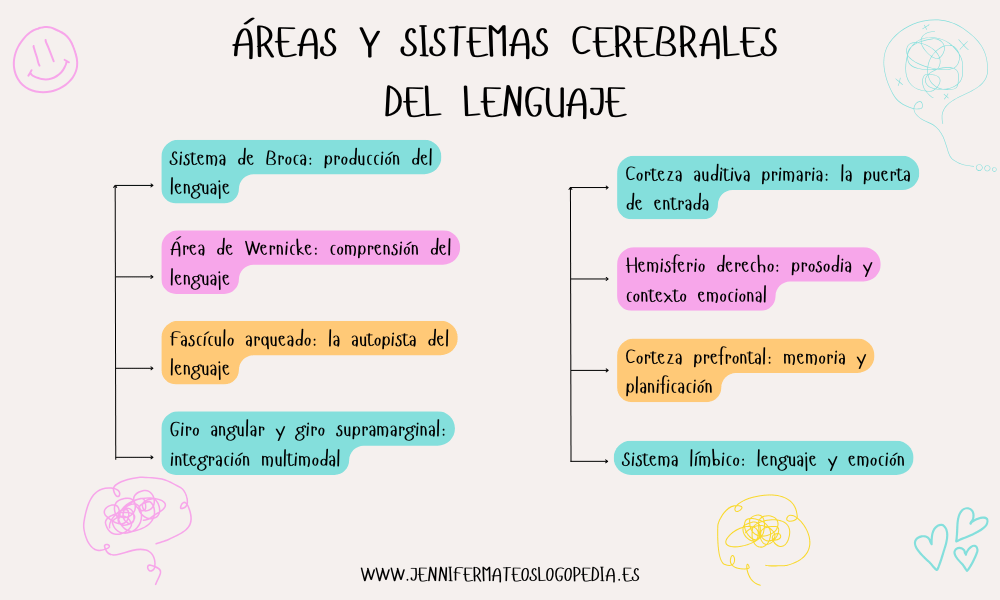 Giro Supramarginal: FUNCIONES y TRASTORNOS Esenciales 2 giro supramarginal funciones y trastornos esenciales