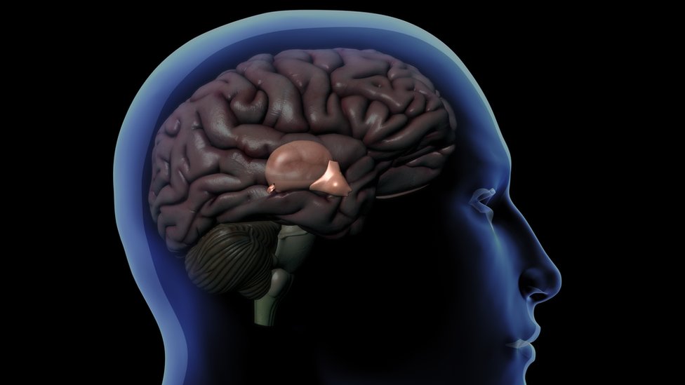 glandula pineal descubre sus secretos y poderes ocultos