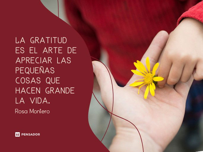 GRACIAS POR SER y ESTAR - VALOR y GRATITUD en la VIDA 2 gracias por ser y estar valor y gratitud en la vida