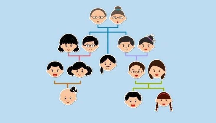 Guía Práctica para Crear un Genograma en Psicoterapia 2 guia practica para crear un genograma en psicoterapia