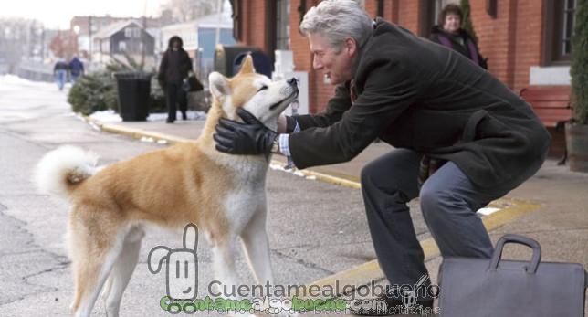 hachiko siempre a tu lado la pelicula que te emocionara
