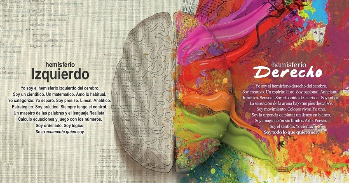 Hemisferios CEREBRALES: Funciones y DIFERENCIAS Reveladas 2 hemisferios cerebrales funciones y diferencias reveladas