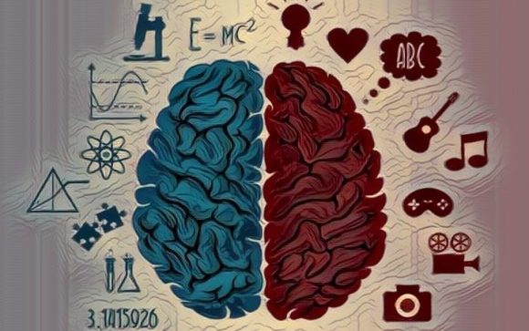 Hemisferios CEREBRALES: Mitos y REALIDADES que Debes Saber 2 hemisferios cerebrales mitos y realidades que debes saber