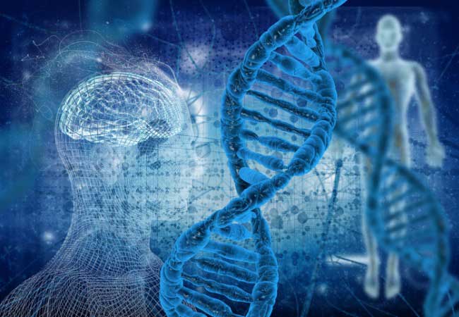 Heredabilidad: Cómo Influye en Tu Conducta y Personalidad 2 heredabilidad como influye en tu conducta y personalidad