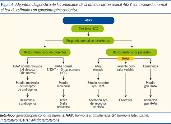 HERMAFRODITISMO: Tipos, SÍNTOMAS y Tratamiento en MADRID 2 hermafroditismo tipos sintomas y tratamiento en madrid