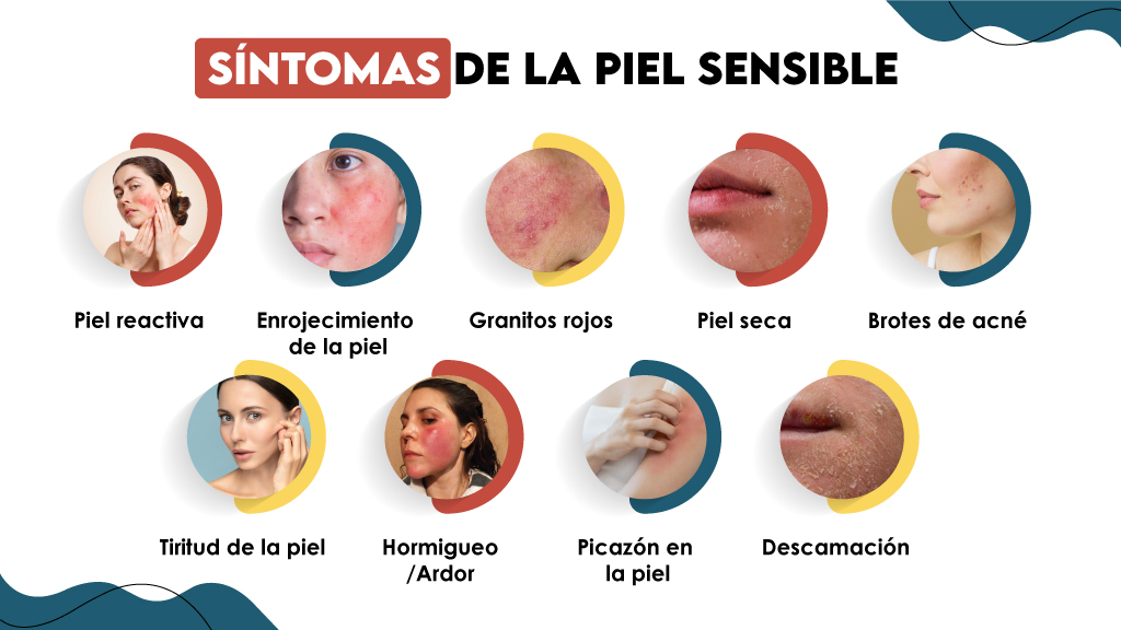 Hipensensibilidad: Tipos y Claves que Debes Conocer 2 hipensensibilidad tipos y claves que debes conocer