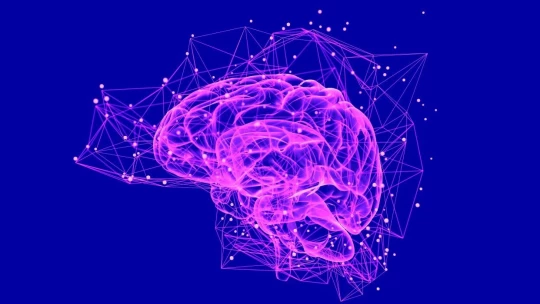 Hipoplasia Cerebelosa: Descubre sus Causas y Síntomas Clave 2 hipoplasia cerebelosa descubre sus causas y sintomas clave