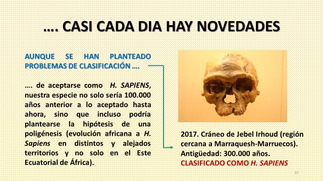 HOMÍNIDOS: Definición y 8 Especies Clave que Debes Conocer 2 hominidos definicion y 8 especies clave que debes conocer