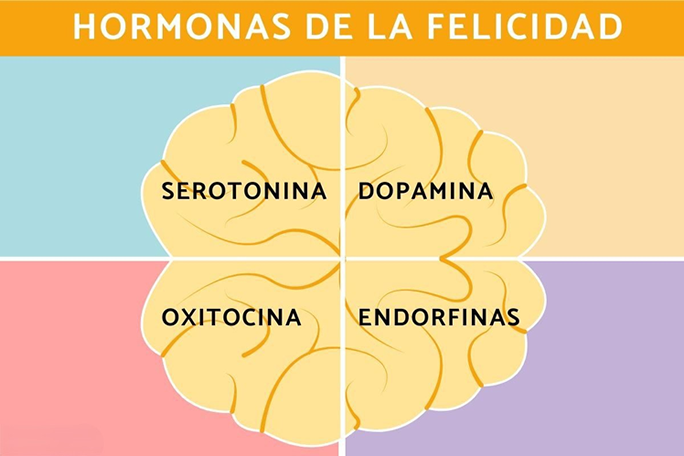 hormonas de la felicidad descubre su impacto en tu cerebro