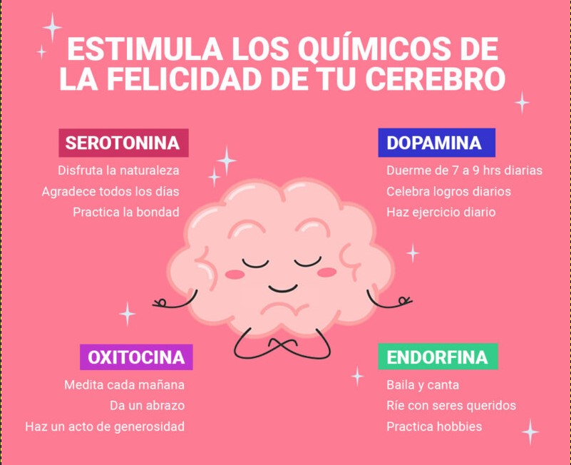 HORMONAS ENDORFINAS: Descubre qué SON y cómo te HACEN FELIZ 2 hormonas endorfinas descubre que son y como te hacen feliz