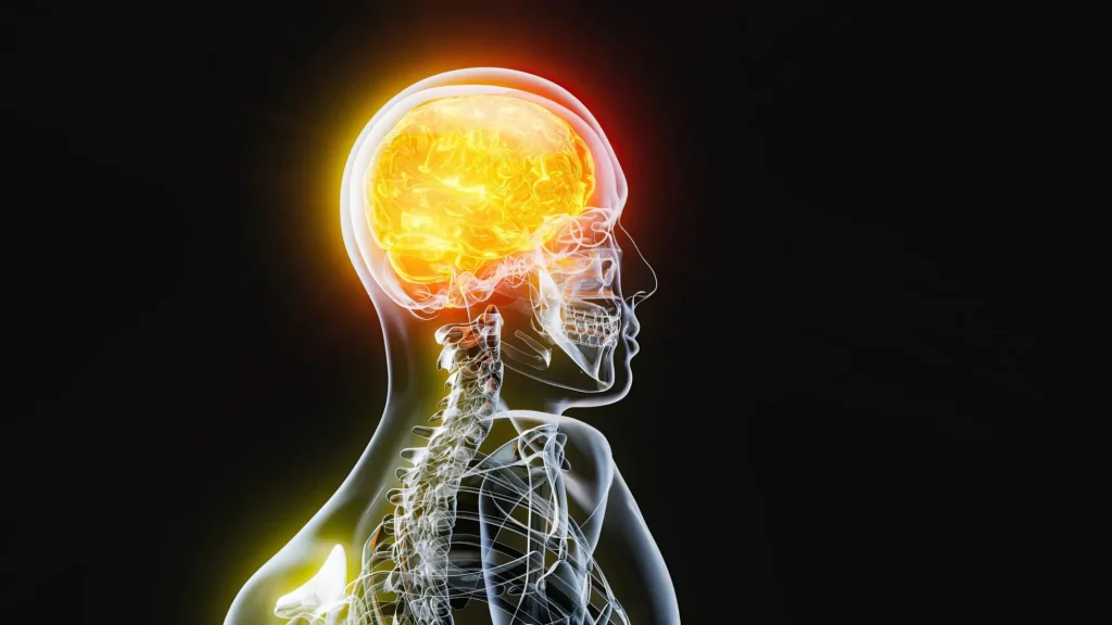 Impacto de la Mentira en la Psicología: Efectos Reveladores 2 impacto de la mentira en la psicologia efectos reveladores