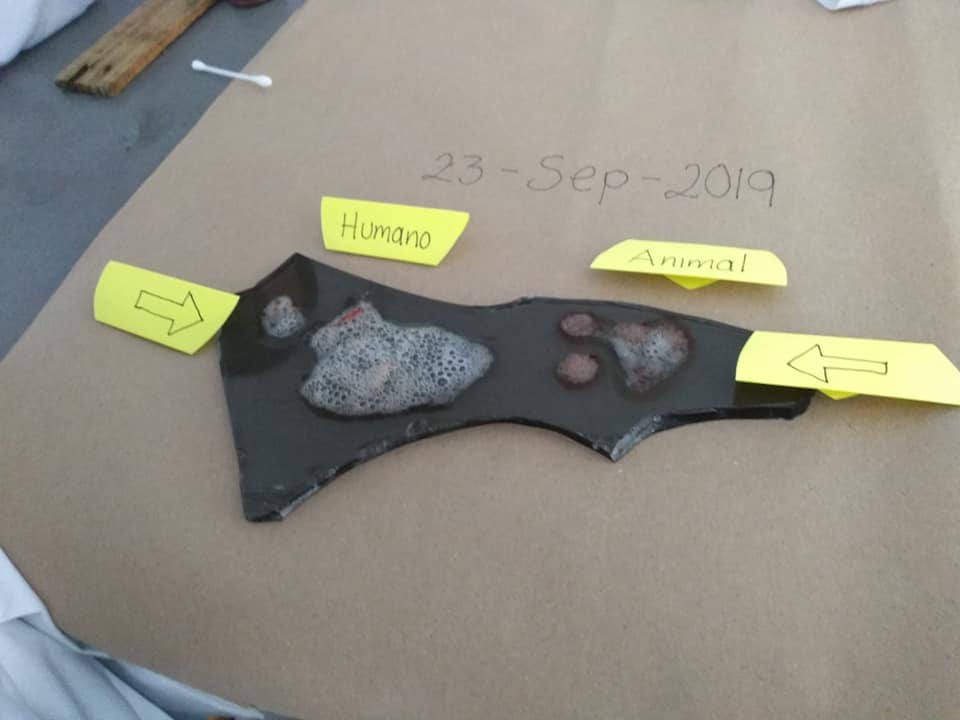 Indicios: Qué son y su SIGNIFICADO en INVESTIGACIONES