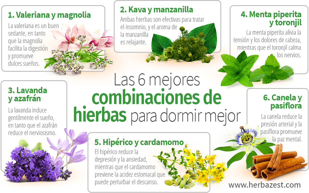 infusiones para dormir descubre la mejor para tu descanso