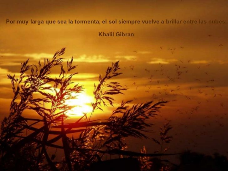 Inspírate: Las Mejores Frases de Naturaleza y Su Magia 2 inspirate las mejores frases de naturaleza y su magia