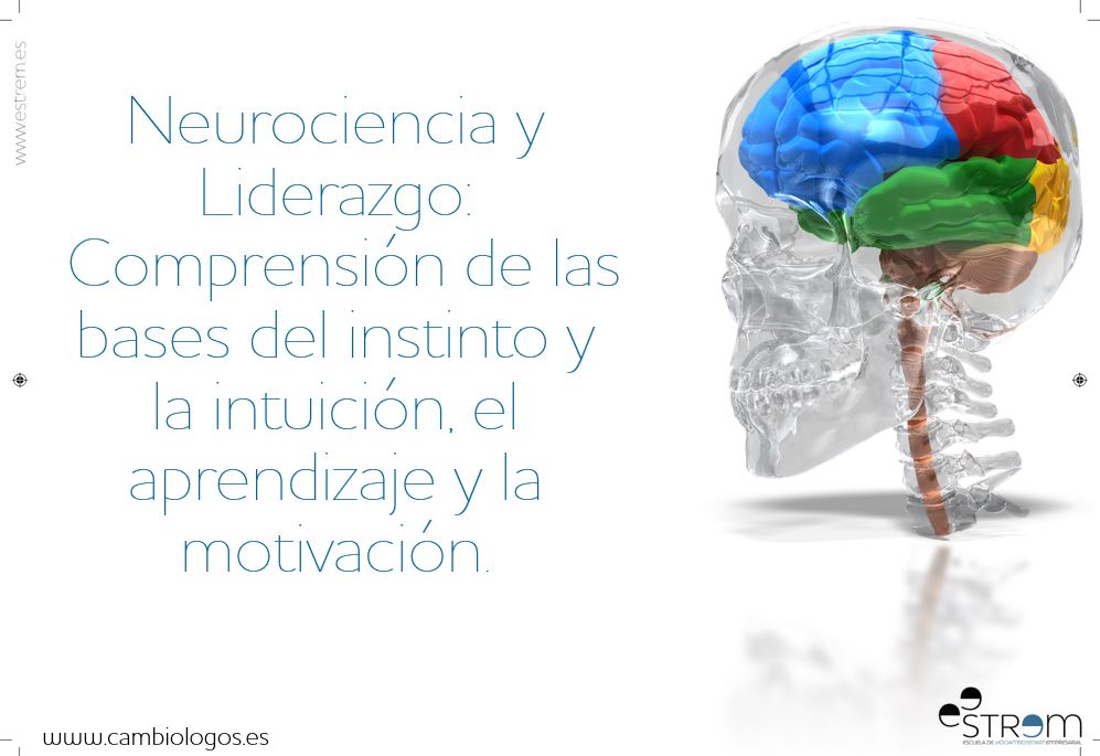 instintivo vs intuicion descubre sus diferencias clave