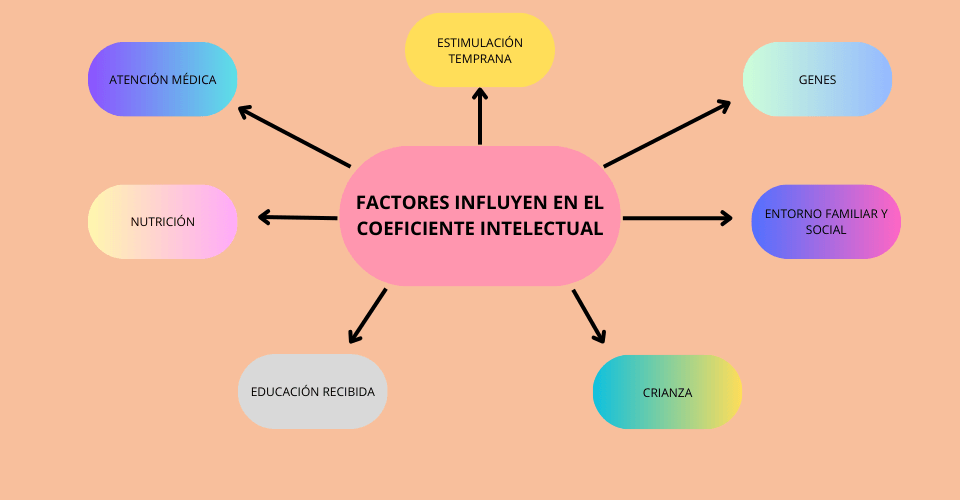 Inteligencia INTUITIVA: Qué es y Cómo DESARROLLARLA