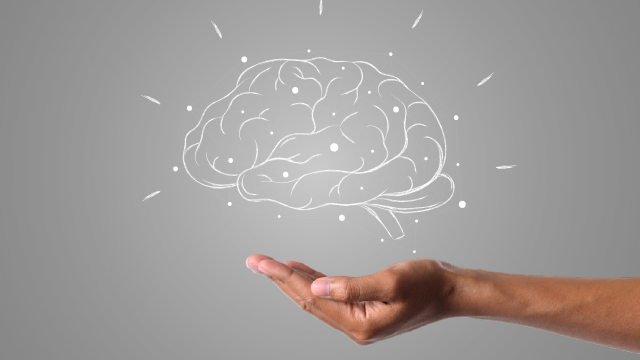 inteligencia pulpo descubre su cerebro y terapias en madrid
