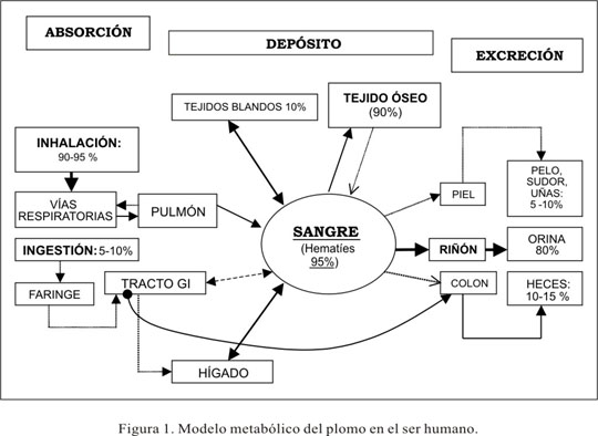 intoxicacion cie 10 descubre sus efectos y sintomas clave