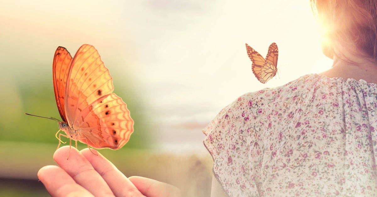 La ALQUIMIA ESPIRITUAL: TRANSFORMAR el DOLOR en EVOLUCIÓN 2 la alquimia espiritual transformar el dolor en evolucion