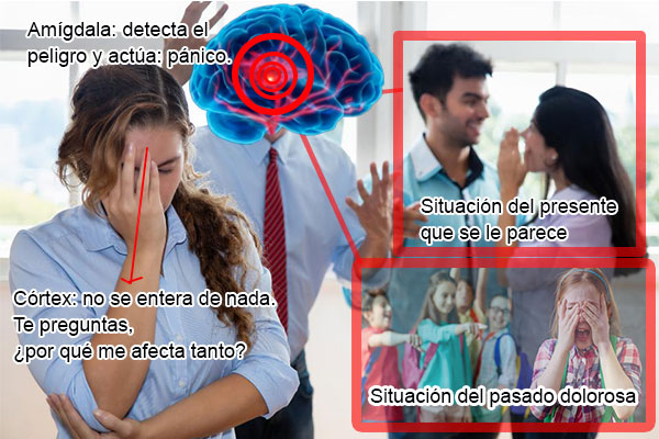 La CORTEX PREFRONTAL y tu VOLUNTAD - Terapia en MADRID 2 la cortex prefrontal y tu voluntad terapia en madrid