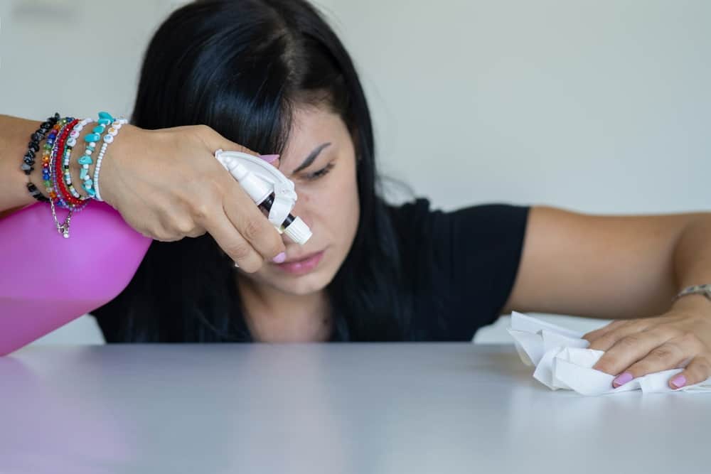 la obsesion por la limpieza y el bienestar emocional