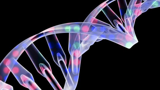 La psicopatía se hereda Descubre sus bases genéticas 2 la psicopatia se hereda descubre sus bases geneticas