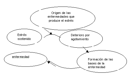 La TEORÍA del ESTRÉS de WALTER CANNON - Sanación en MADRID 2 la teoria del estres de walter cannon sanacion en madrid