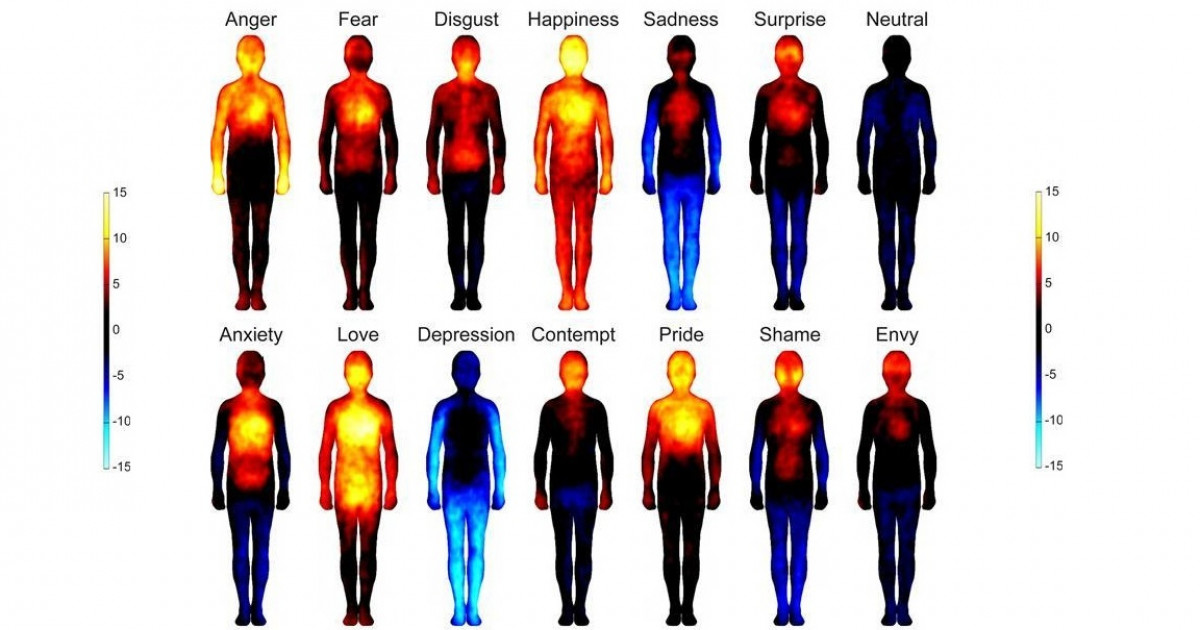 Las EMOCIONES y el CUERPO: Descubre su PODER en TI 2 las emociones y el cuerpo descubre su poder en ti