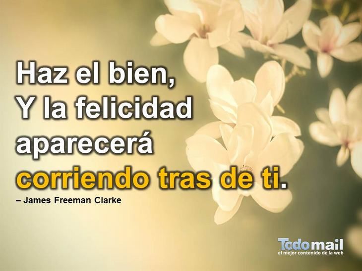 Las MEJORES Frases de la VIDA para Ser FELIZ - Inspírate Hoy 20 las mejores frases de la vida para ser feliz inspirate hoy