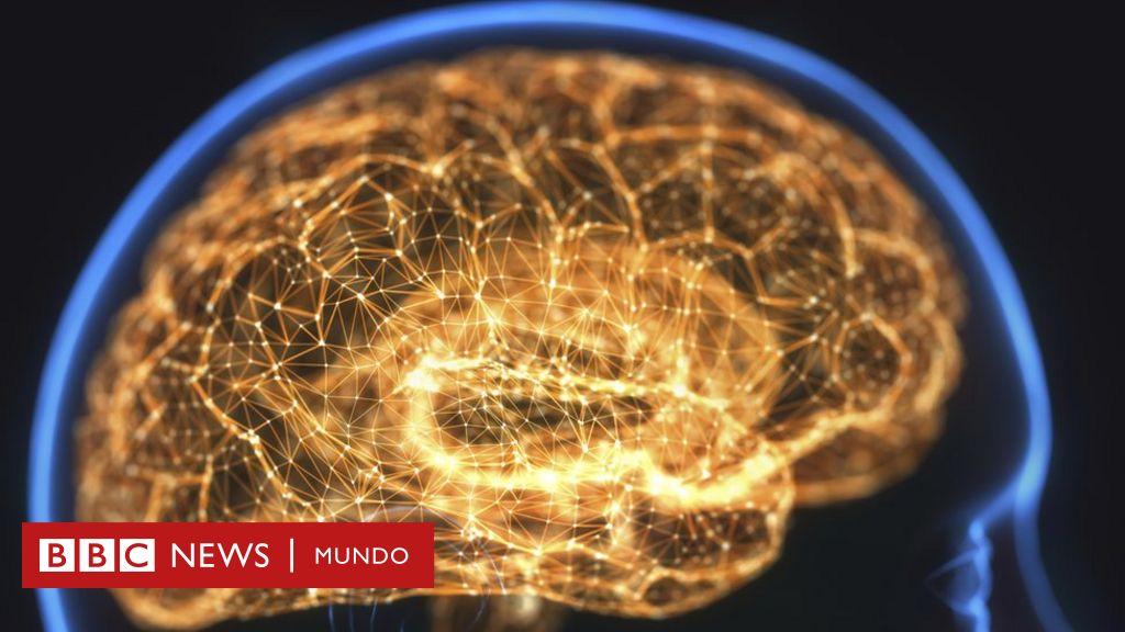las neuronas se regeneran descubre la impactante verdad