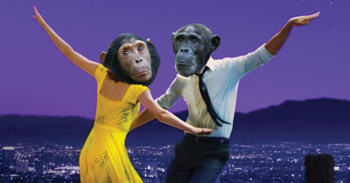 LIMERENCIA: Descubre la MAGIA del ENAMORAMIENTO REAL 2 limerencia descubre la magia del enamoramiento real