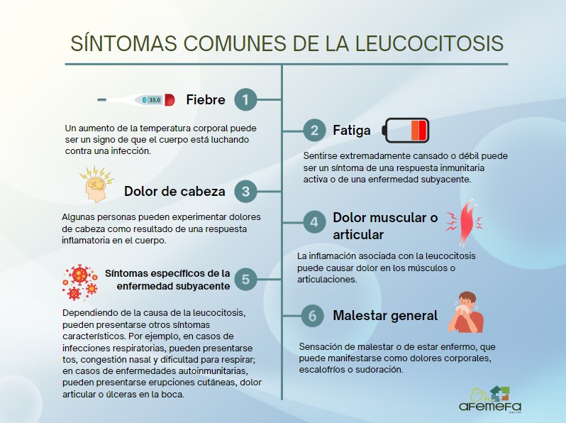 LINFOCITOS ALTOS: Significado, SÍNTOMAS y Cuándo Preocuparse 2 linfocitos altos significado sintomas y cuando preocuparse
