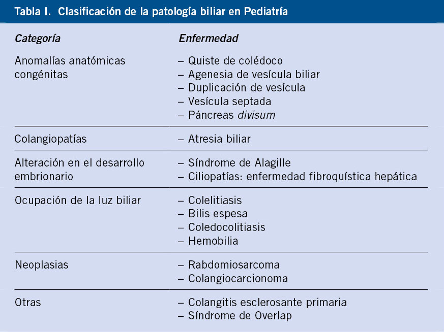 LISOSOMAS: QUÉ SON Definición y Terapia ONLINE en MADRID 2 lisosomas que son definicion y terapia online en madrid