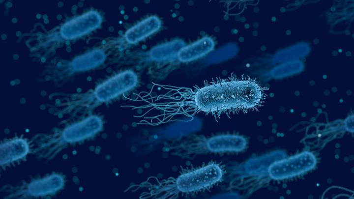 LISTERIOSIS: Diagnóstico y TRATAMIENTO EFECTIVO en Madrid 2 listeriosis diagnostico y tratamiento efectivo en madrid
