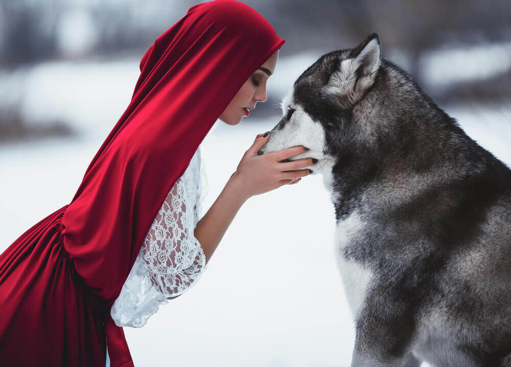 Lobo de Caperucita: REALMENTE es MALO Descubre la VERDAD 2 lobo de caperucita realmente es malo descubre la verdad