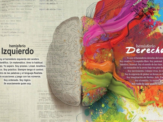 Lóbulo Izquierdo del Cerebro: Funciones que Te Sorprenderán 2 lobulo izquierdo del cerebro funciones que te sorprenderan