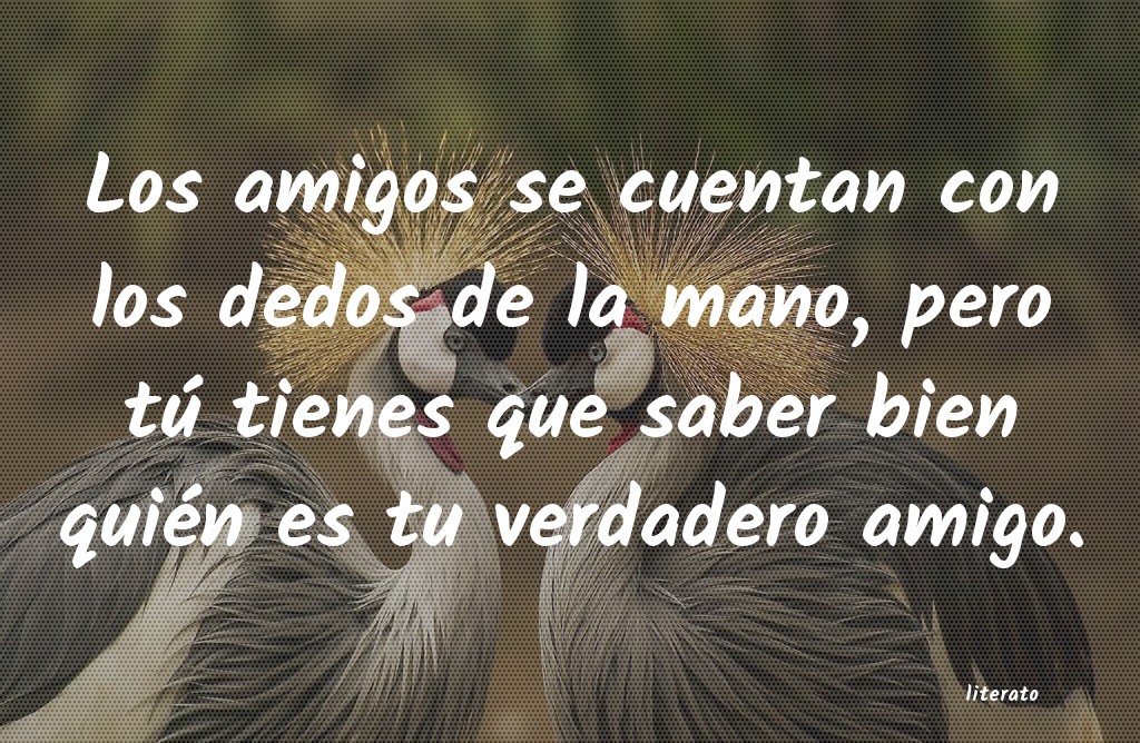 los amigos verdaderos se cuentan con los dedos de una mano