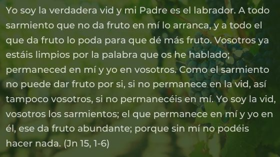 Madre Narcisista: Impacto en Hijas y su Futuro Revelador 2 madre narcisista impacto en hijas y su futuro revelador