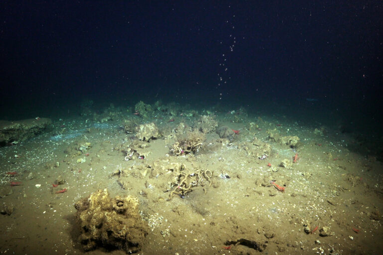 MAR vs OCÉANO: Claves y Secretos que Debes Conocer 2 mar vs oceano claves y secretos que debes conocer