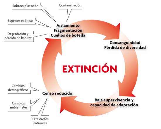 MARCADORES GENÉTICOS: Definición y APLICACIONES en Madrid 2 marcadores geneticos definicion y aplicaciones en madrid