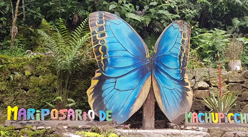 Mariposa Azul: Místico Significado y su Fascinante Historia 2 mariposa azul mistico significado y su fascinante historia