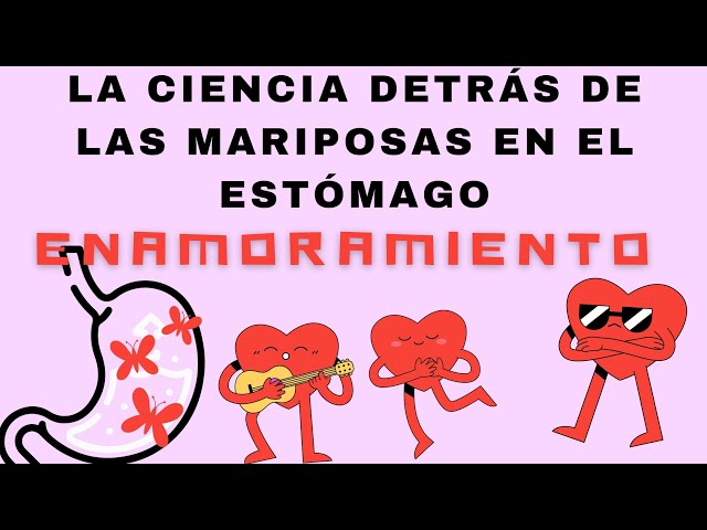 Mariposas en el ESTÓMAGO: ¡Descubre la CIENCIA detrás! 2 mariposas en el estomago descubre la ciencia detras
