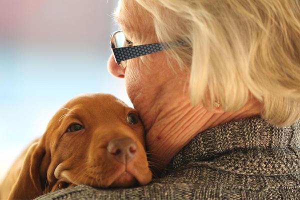 mascota de apoyo emocional descubre su importancia