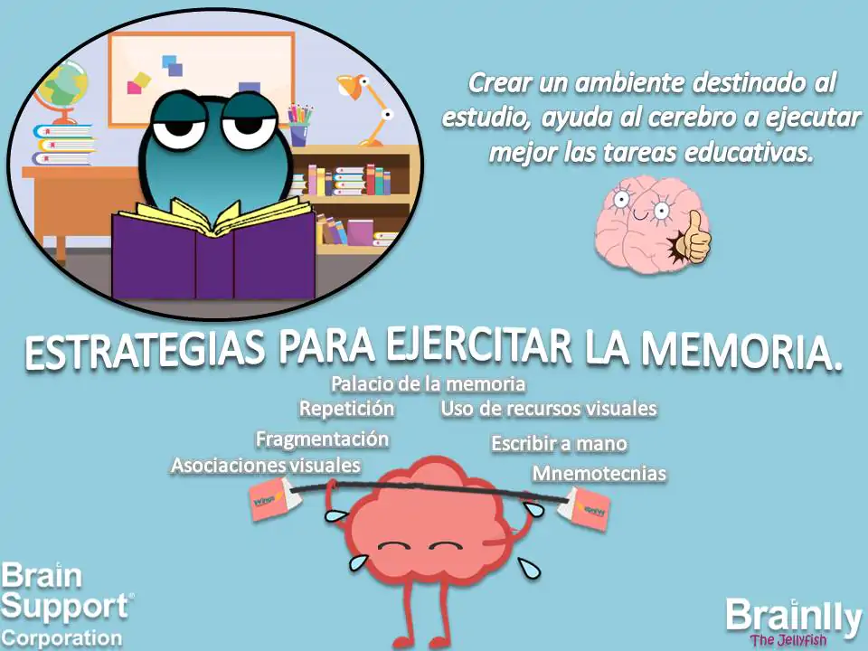 MEMORIA A LARGO PLAZO: QUÉ ES, TIPOS y CÓMO MEJORARLA RÁPIDO 2 memoria a largo plazo que es tipos y como mejorarla rapido
