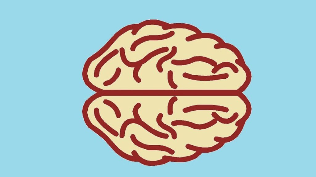 memoria emocional descubre su base biologica y secretos