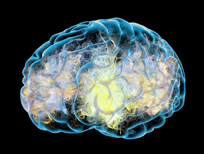 mensajeros quimicos del cerebro descubre su impacto en ti