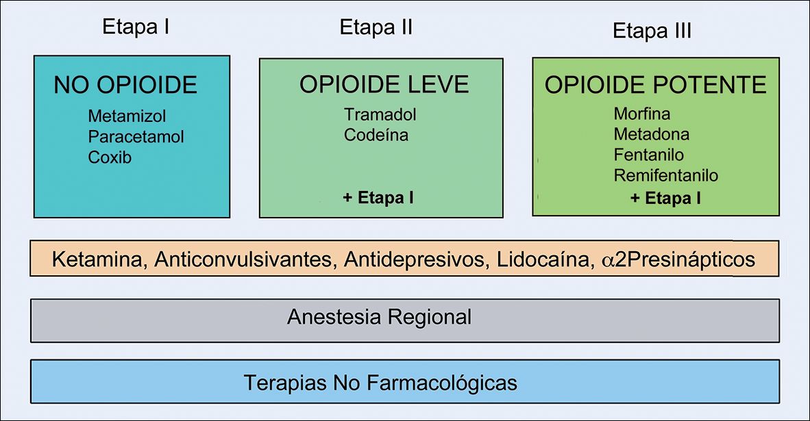 MEPERIDINA: Potente NARCÓTICO y ANALGÉSICO que DEBES conocer 2 meperidina potente narcotico y analgesico que debes conocer