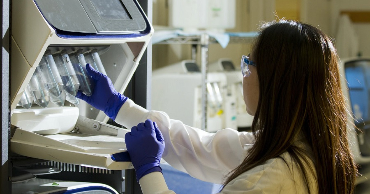 Métodos de INVESTIGACIÓN: 12 TÉCNICAS CLAVE y sus FUNCIONES 2 metodos de investigacion 12 tecnicas clave y sus funciones