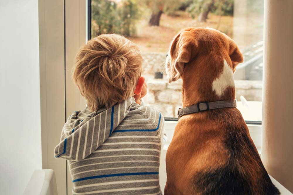 Mi MEJOR AMIGO es mi PERRO - Descubre su VALOR Inigualable 2 mi mejor amigo es mi perro descubre su valor inigualable